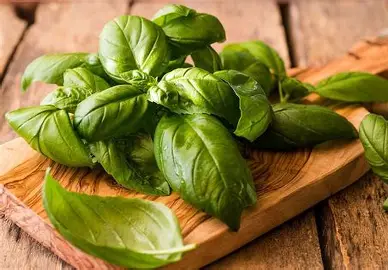 خرید ریحان خشک معطر کازرون+ فروش ویژه