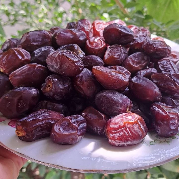 تصویر 1 از فروش مستقیم و عمده خرما خنیزی + نازلترین قیمت