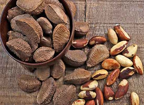 تصویر 2 از قیمت بادام برزیلی بدون پوست + قیمت باور نکردنی