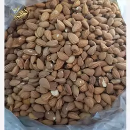تصویر 1 از خرید مغز بادام کوهی تلخ + قیمت استثنایی