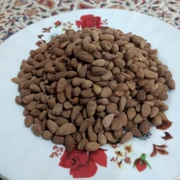 تصویر 2 از خرید مغز بادام کوهی تلخ + قیمت استثنایی