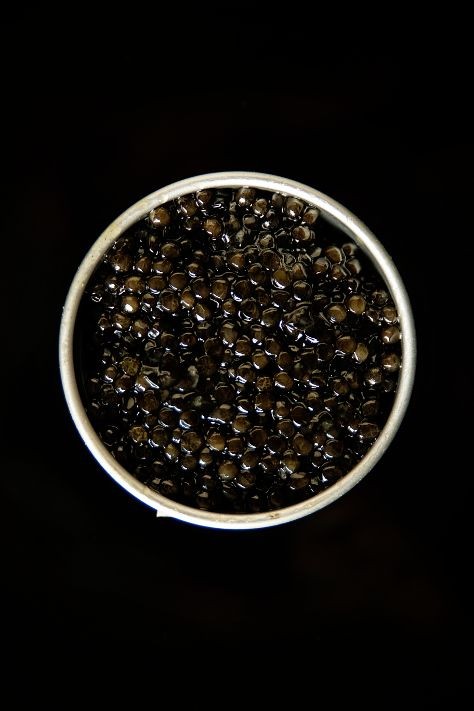 تصویر 1 از گلستان خاویار + قیمت مقرون به صرفه