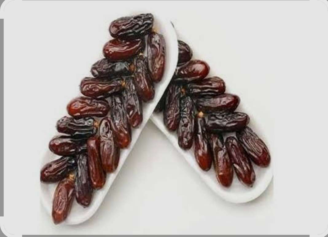 تصویر 1 از قیمت خرمای ربی صادراتی + فروش ویژه