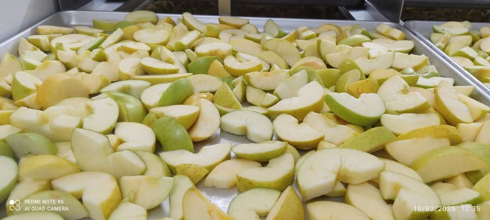 تصویر 2 از میوه خشک مخلوط 250 گرمی مناسب محل کار