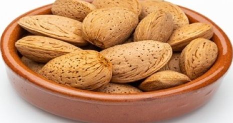 قیمت خرید + بادام سنگی با صرفه