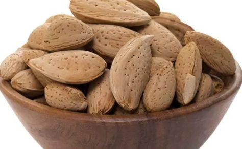 قیمت فروش + بادام سنگی عمده به صرفه