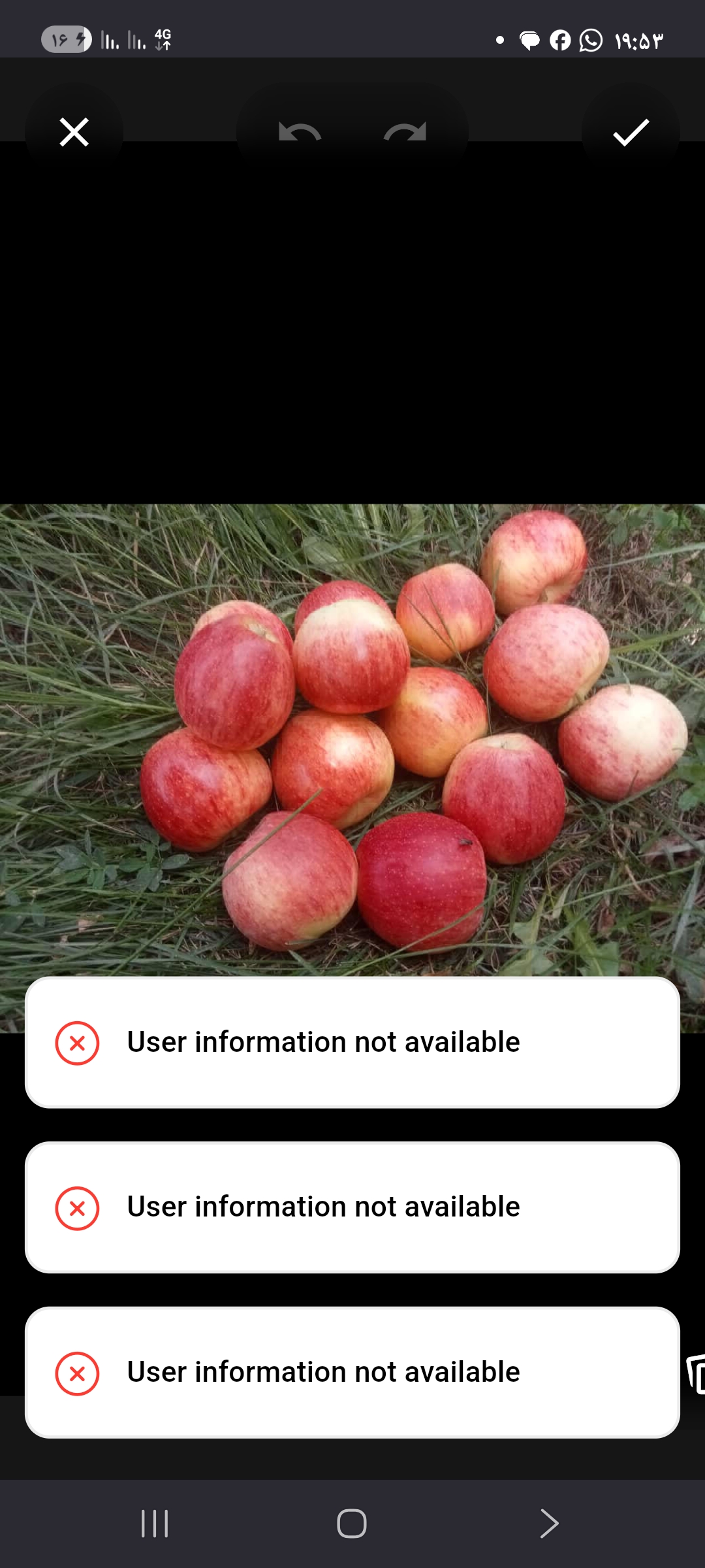 تصویر 1 از خرید و قیمت سیب قرمز ممتاز اصفهان