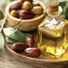 تصویر 2 از خرید و فروش عمده روغن جوجوبا + صادرات روغن جوجوبا با کیفیت ممتاز