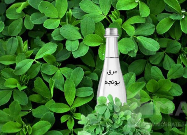 تصویر 5 از عرق یونجه درجه یک