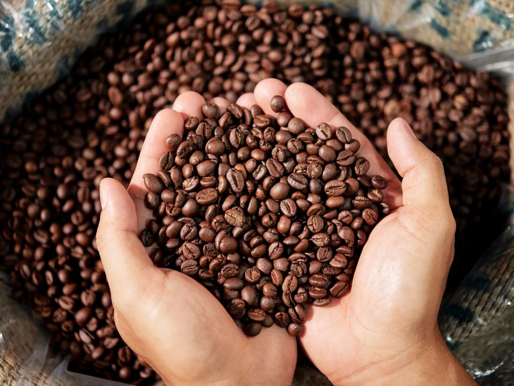 خرید قهوه عمده اتیوپی لکمپتی (عربیکا)
