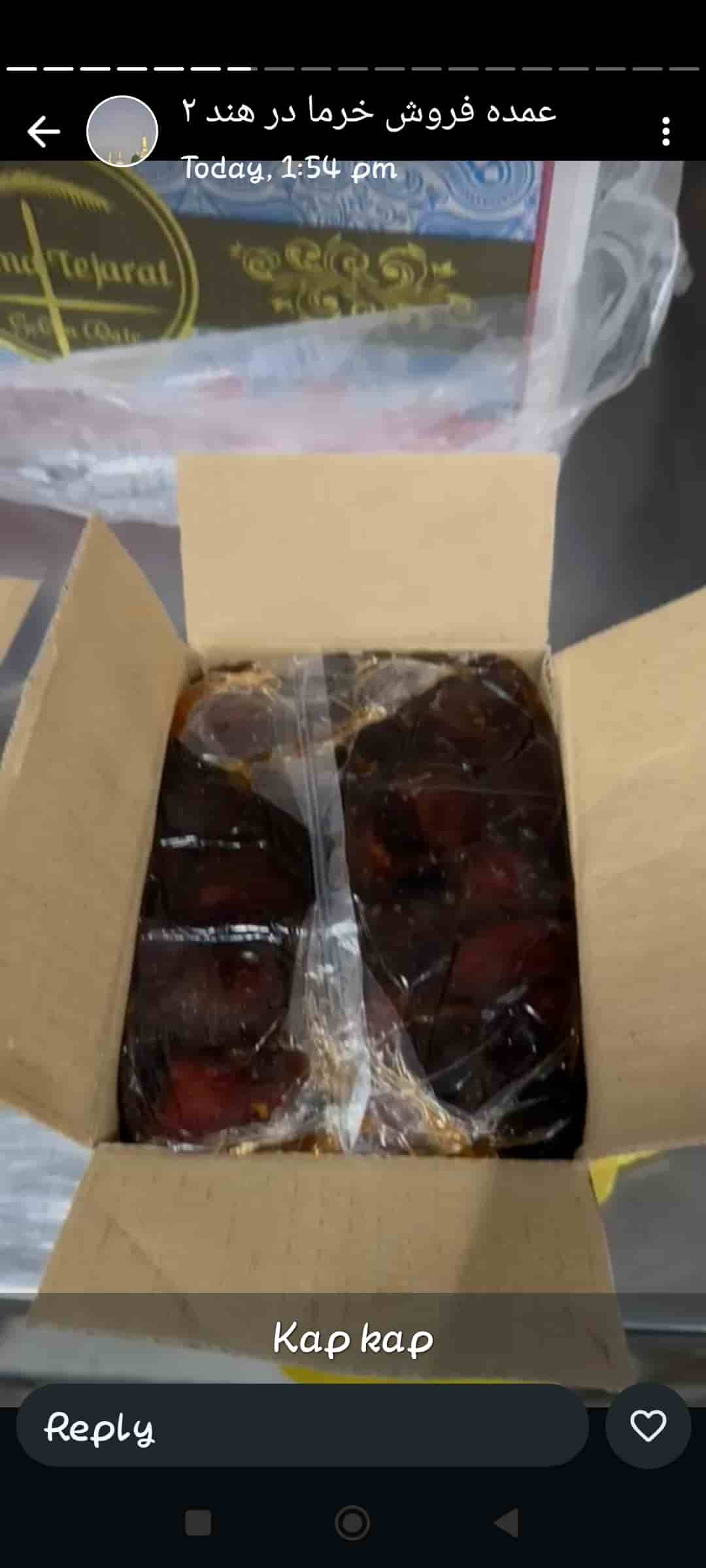 تصویر 1 از خرما کبکاب حجازی + قیمت عمده به صرفه
