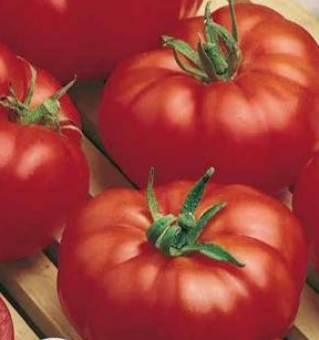 تصویر 3 از خرید رب گوجه‌ فرنگی خوشبخت + ضامن رنگ سفره ایرانی