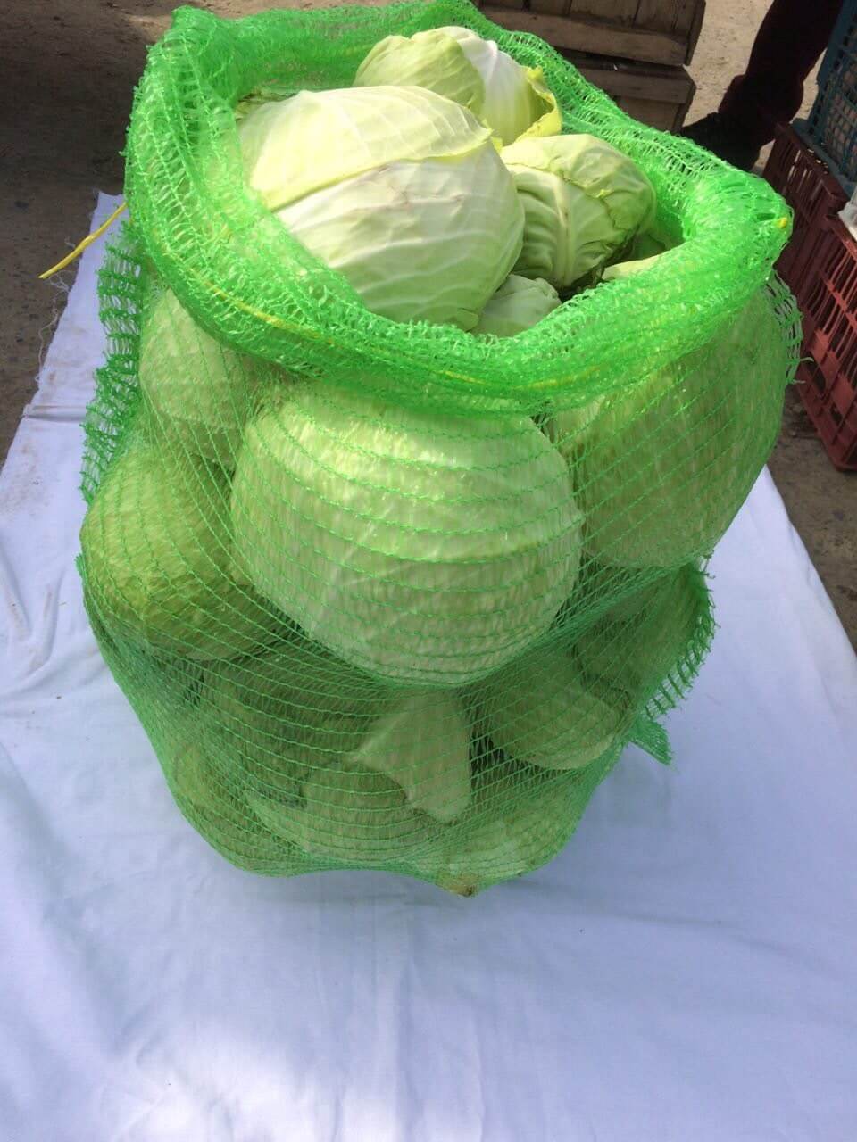 تصویر 1 از فروش کیسه توری راشل سیب زمینی در اصفهان