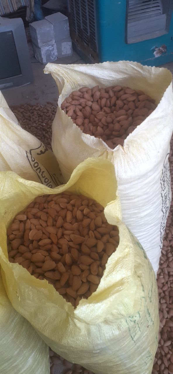 تصویر 4 از بادام سنگی تازه شهرخشکرود