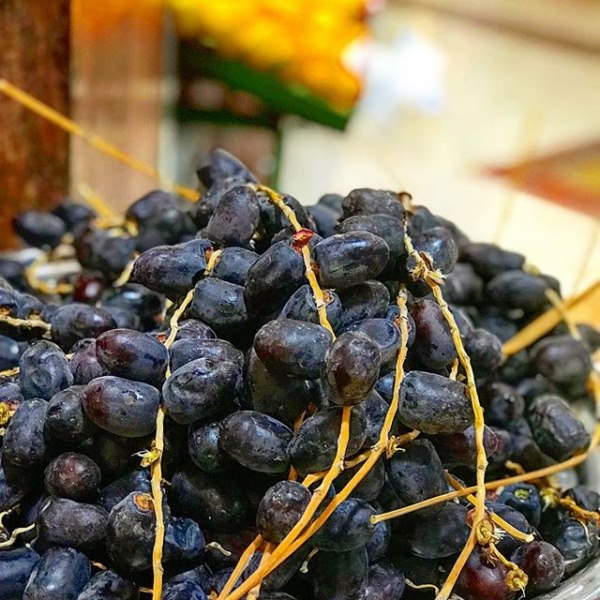 تصویر 1 از خرمای مضافتی نرماشیر خرید از باغدار + فروش عمده