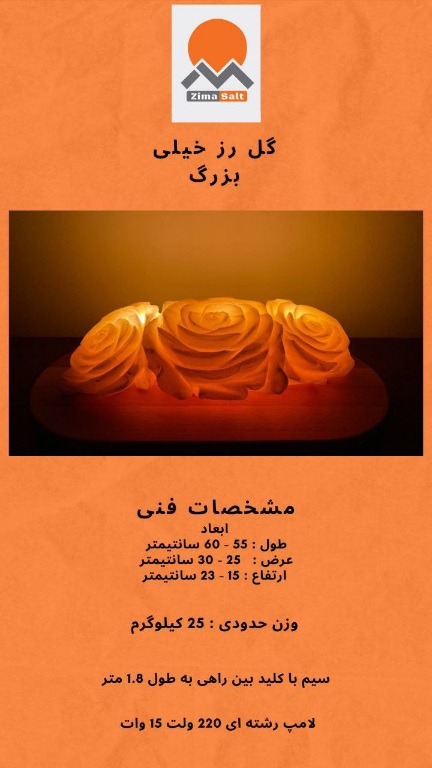 چراغ خواب گل رز نمکین استثنایی زیبایی صادراتی