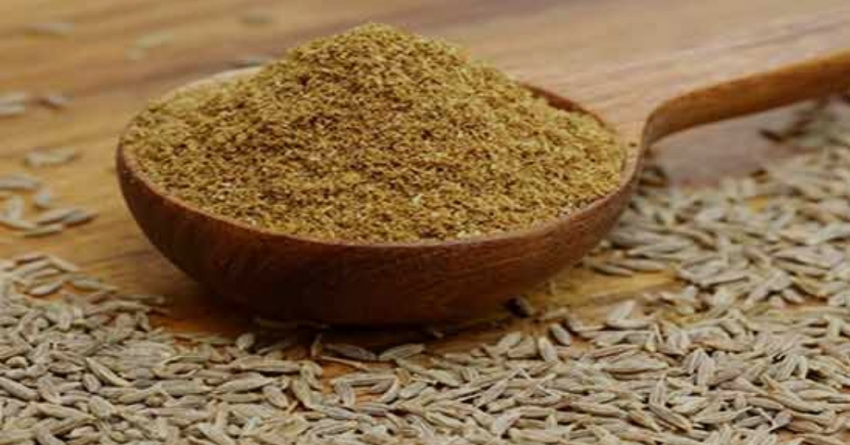 تصویر 1 از پودر زیره وحشی ارگانیک ویژه صنایع غذایی