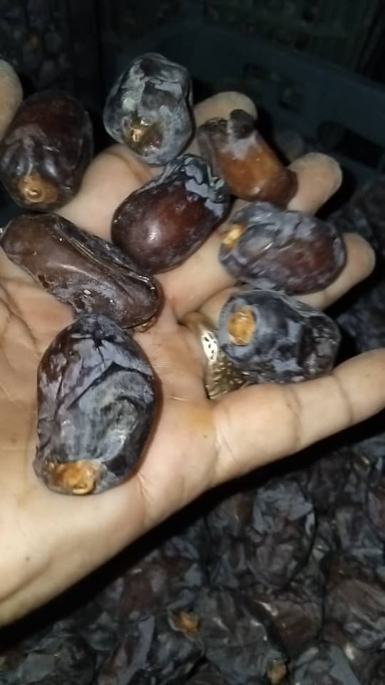 تصویر 1 از صادرات خرمای کلوته رودبار + کیفیت صادراتی