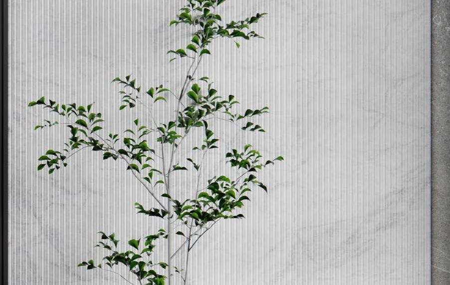 تصویر 2 از فروش سنگ‌ چینی اتوبانی + فروش بی واسطه