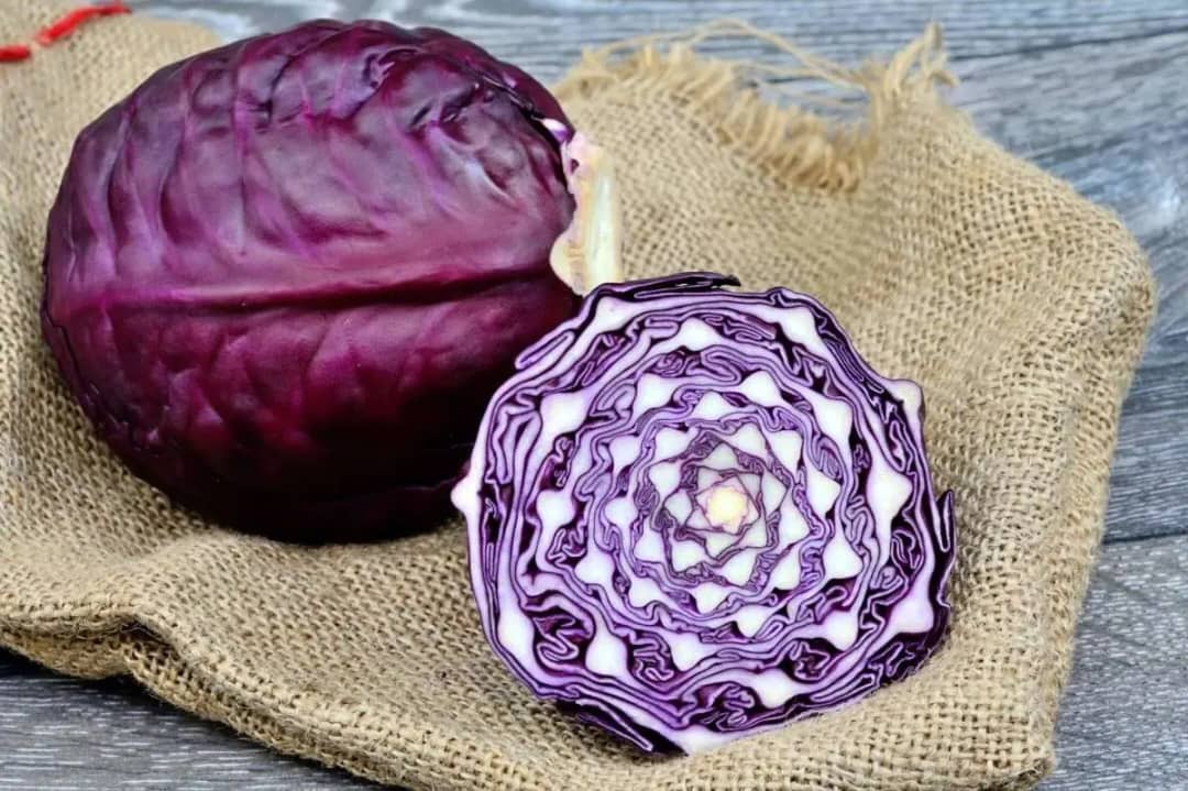 کلم پیچ تازه‌ چین مناسب سالاد کلم رستورانی