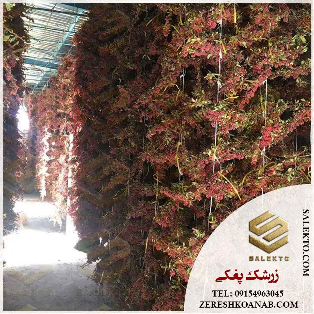 تصویر 3 از زرشک پفکی بیرجند با طعم دلپذیر + خرید عمده