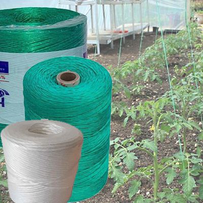 تصویر 2 از فروش نخ تابیده گلخانه در یزد با بهترین قیمت بازار + خرید عمده