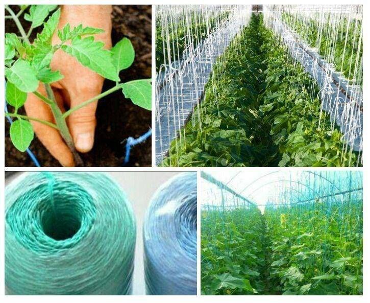 تصویر 2 از خرید عمده نخ گلخانه یووی دار رنگارنگ + بهترین قیمت بازار