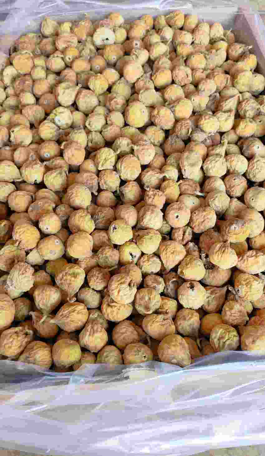 تصویر 2 از خرید انجیر خشک 3A آفتابی تازه + تحویل سریع و مطمئن