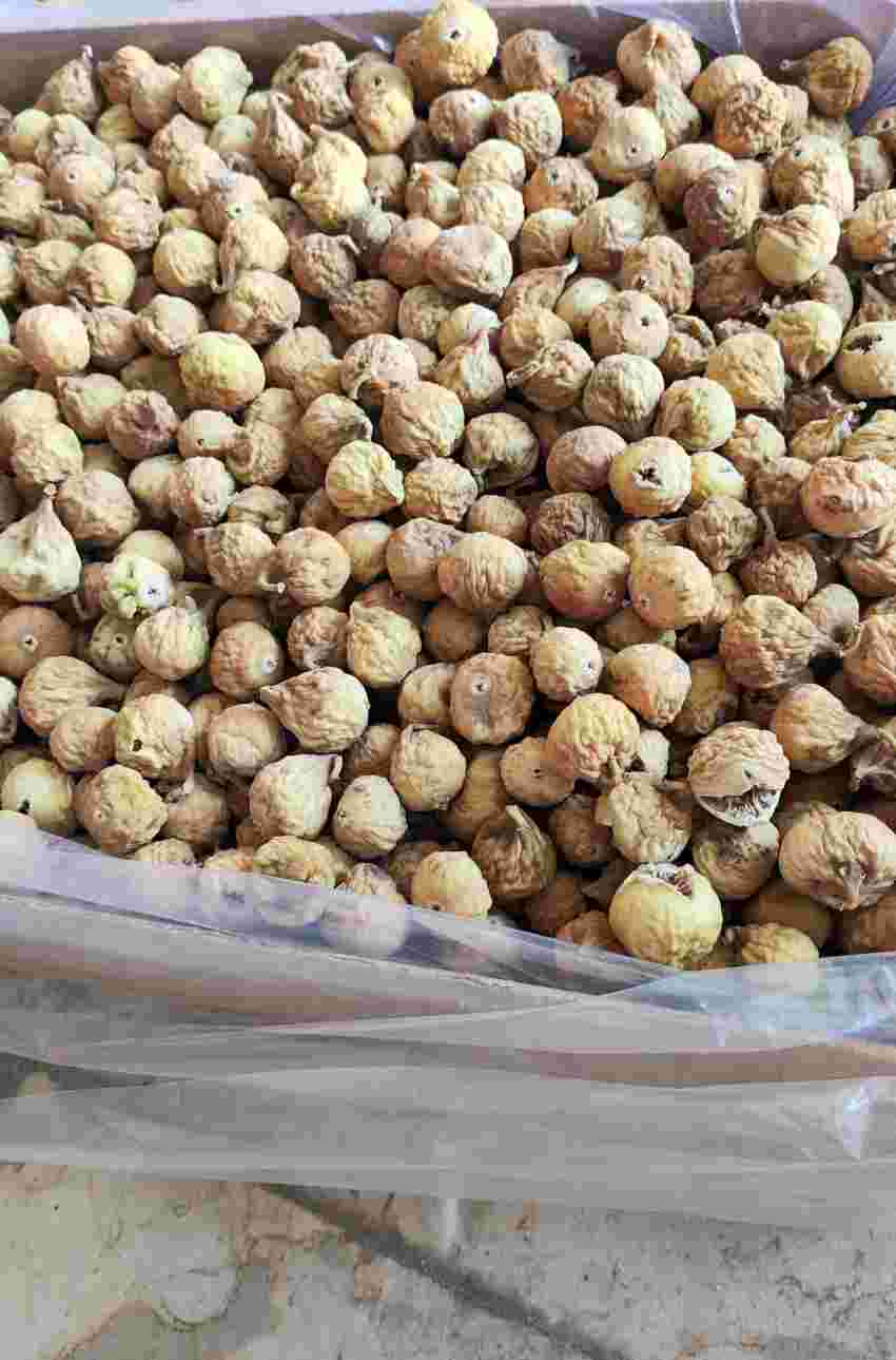 تصویر 1 از خرید انجیر خشک 3A آفتابی تازه + تحویل سریع و مطمئن