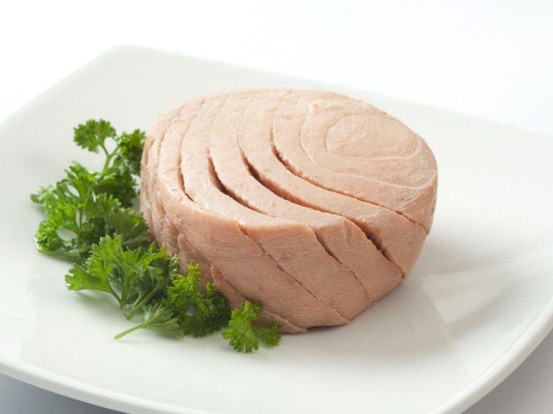 تصویر 1 از کنسرو تن ماهی در روغن ماهیار + خرید عمده