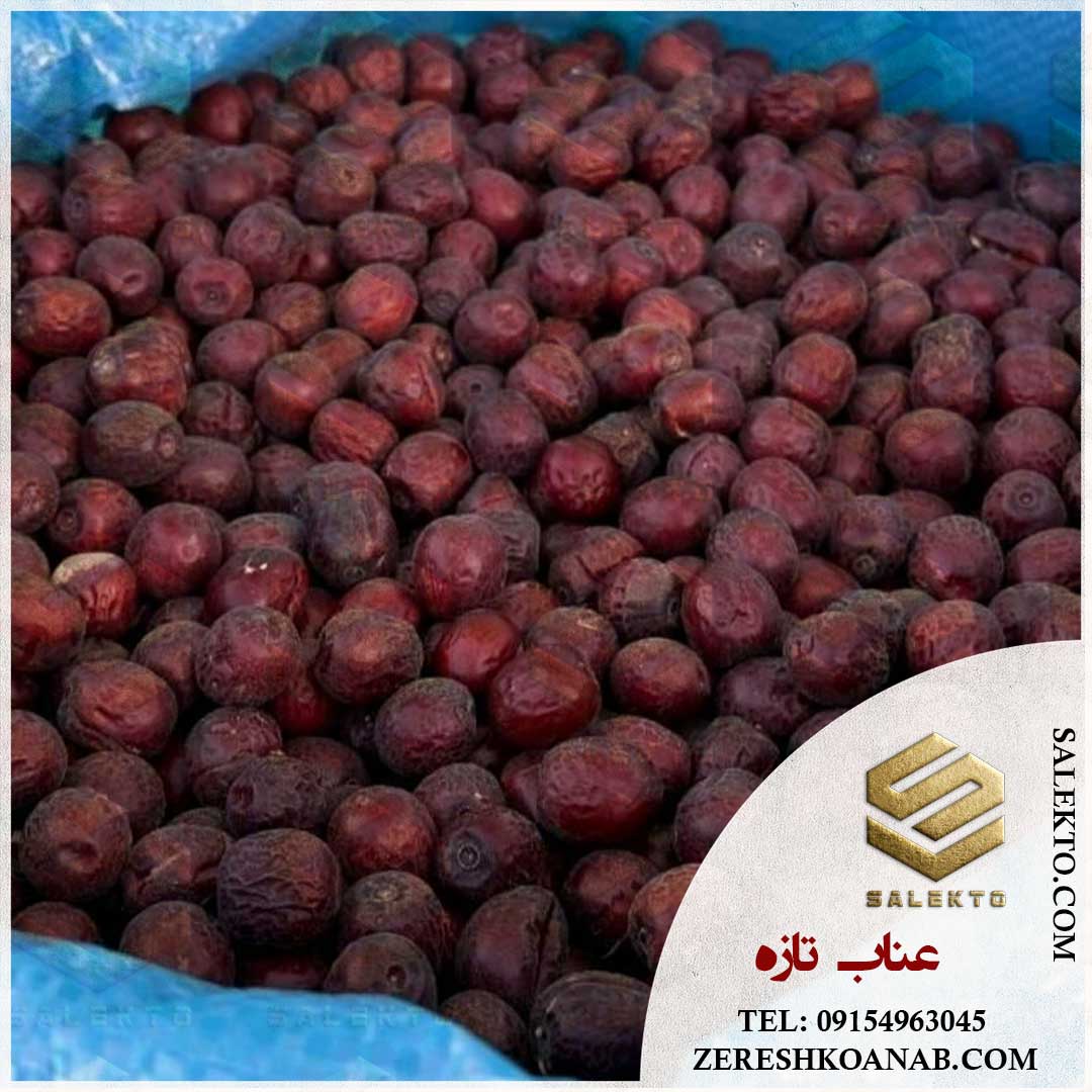 تصویر 2 از عناب خشک امسالی بیرجند با رنگ و طعمی خاص