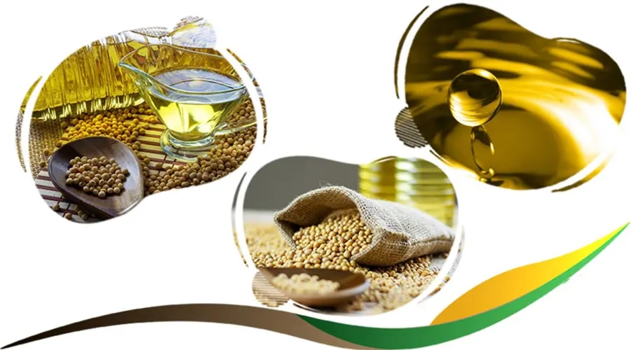تصویر 2 از مرکز فروش روغن سویا خام گالن شده + فروش ویژه