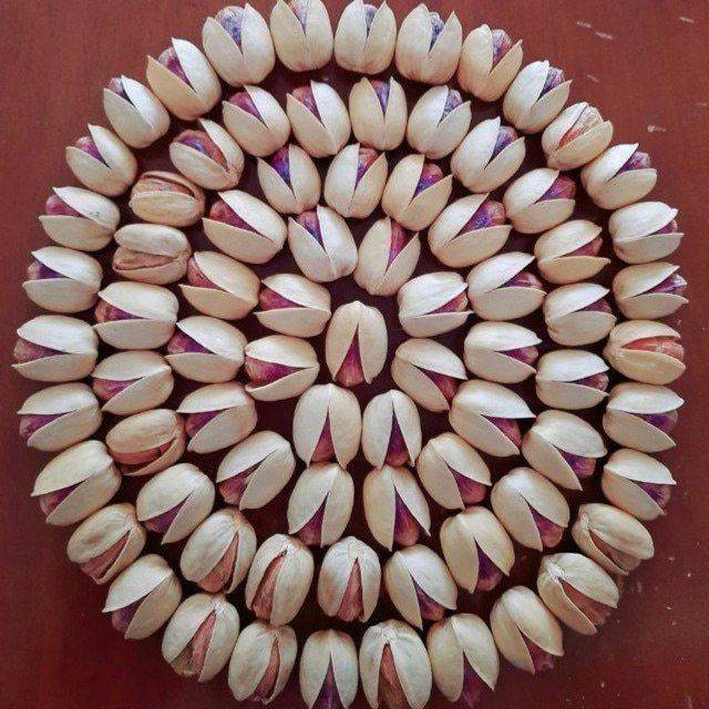 تصویر 3 از فروش عمده پسته کله‌ قوچی + انتخابی عالی برای صادرات و بازار داخلی