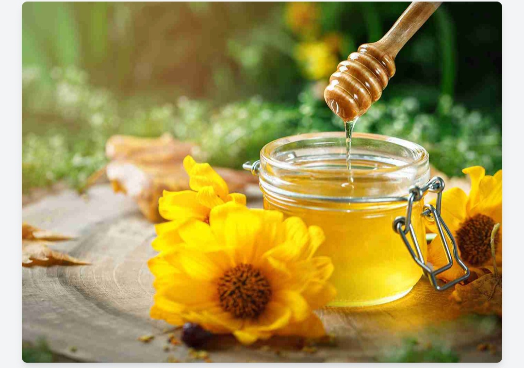 خرید و فروش عسل بابونه به قیمت عمده