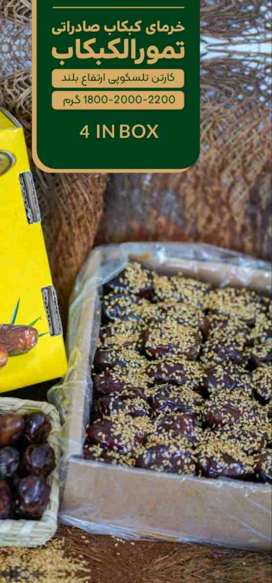 تصویر 1 از خواص خرمای کبکاب؛ منبع انرژی و سلامتی
