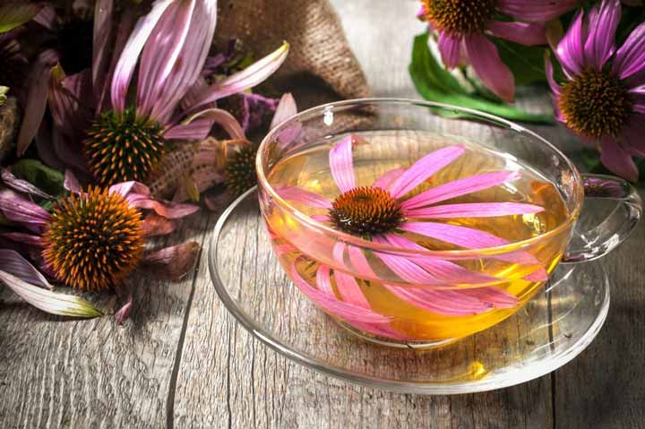 خرید عصاره خوراکی اکیناسه + قیمت استثنایی