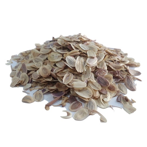 تصویر 1 از خرید عصاره خوراکی آنجدان رومی + قیمت رقابتی