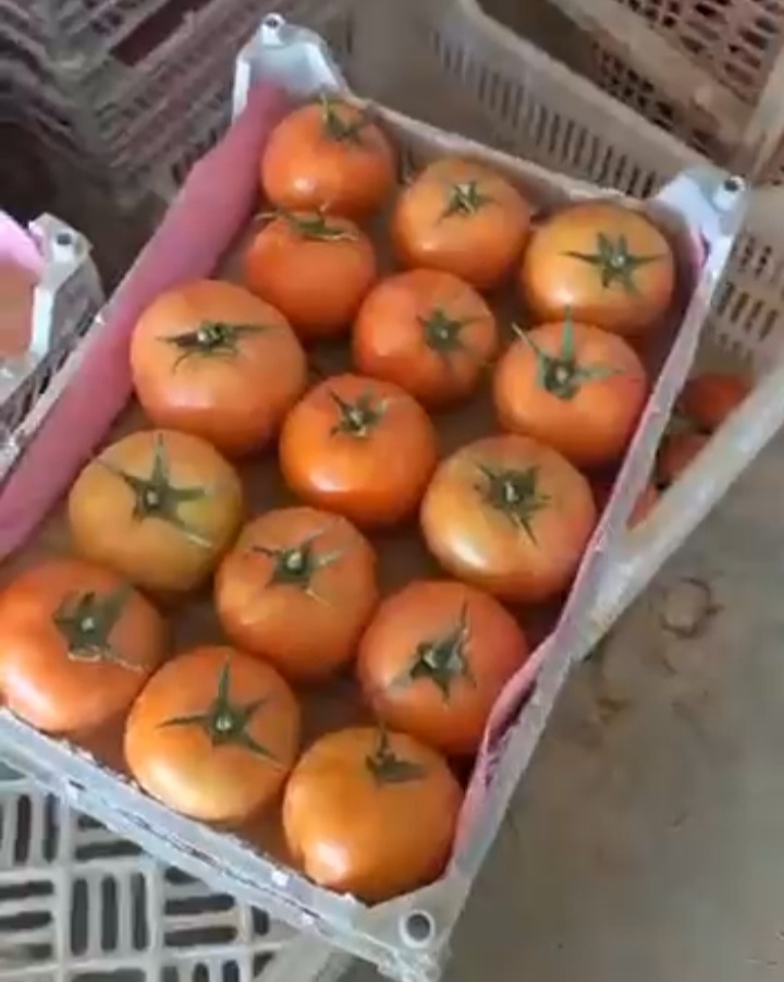 زیر