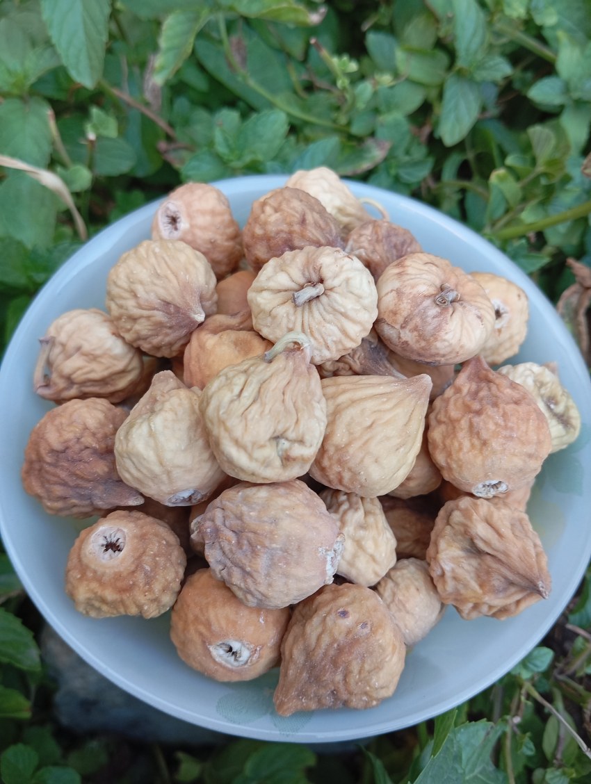 تصویر 1 از قیمت انجیر خشک استهبان گوشتی + طعم عالی