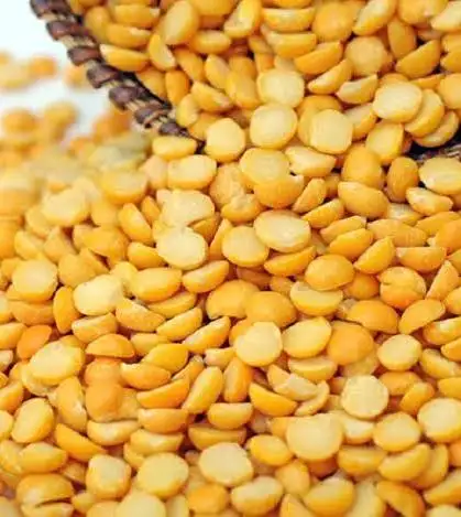 تصویر 3 از شرایط ویژه خرید کنسرو لپه پخته 420 گرمی + قیمت عمده ارزان