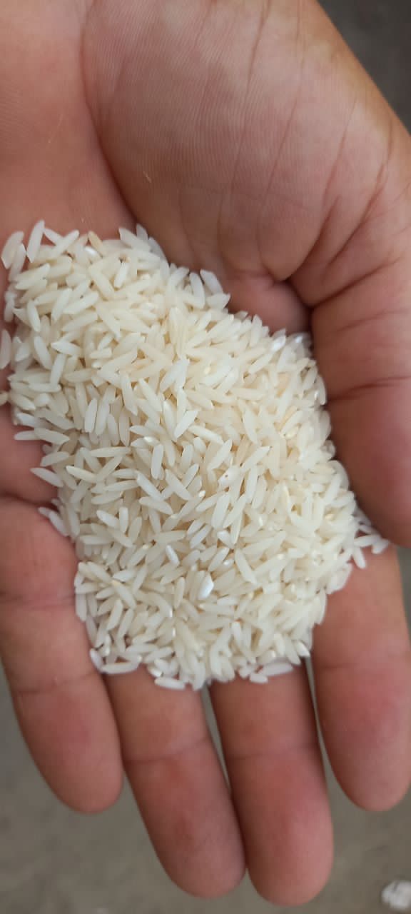 قیمت خرید برنج چمپا میداوود درجه یک