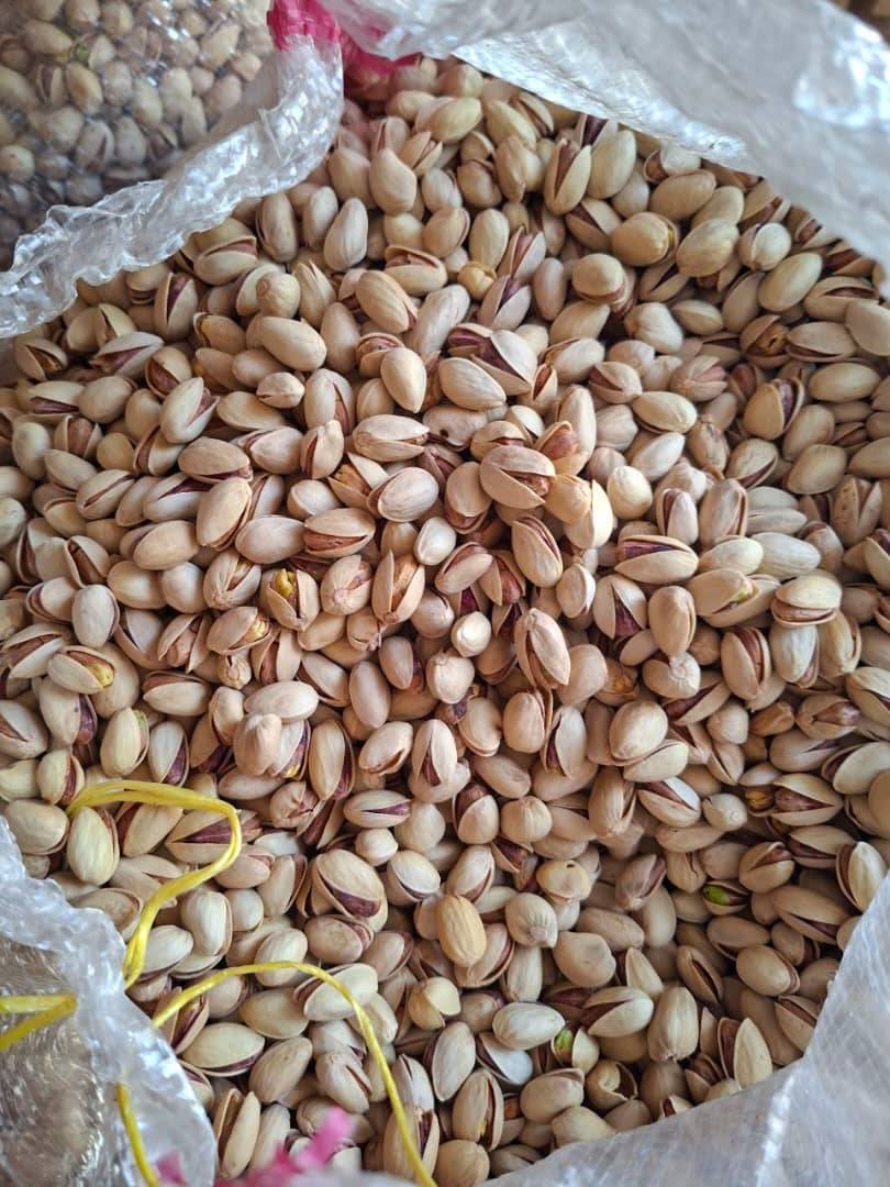 تصویر 5 از قیمت خرید پسته احمد آقایی دامغان + فروش ویژه