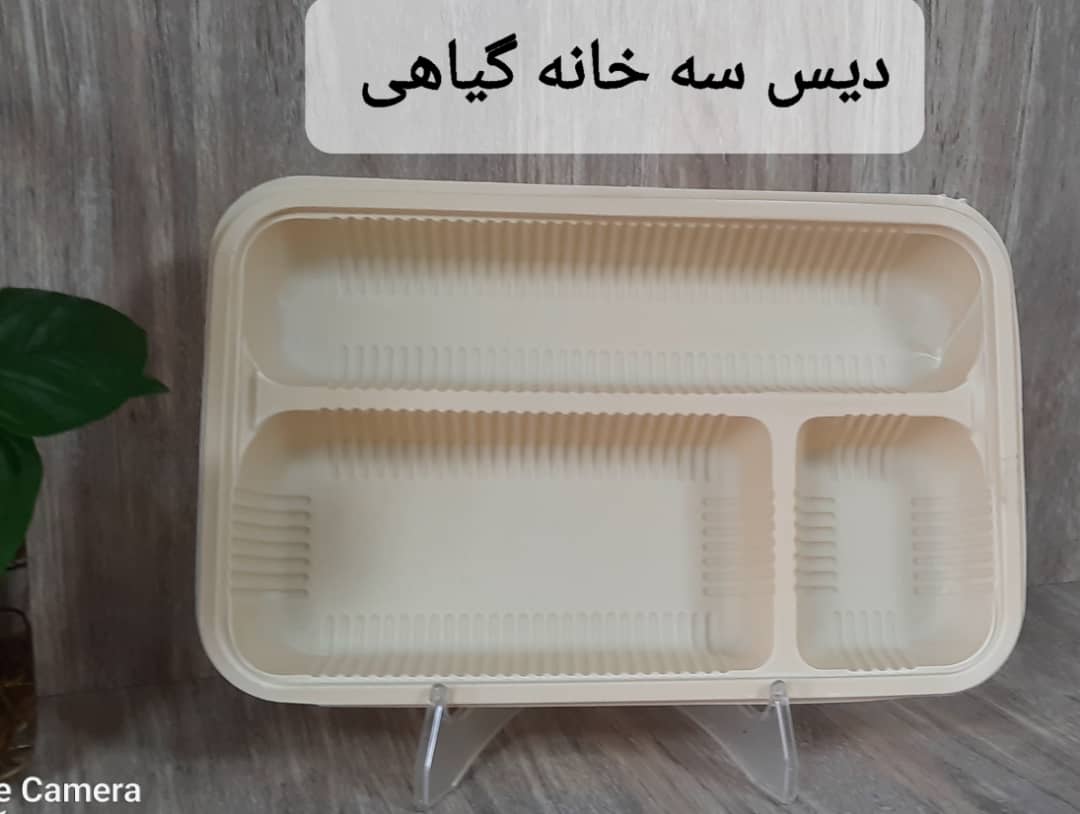 تصویر 3 از ظرف یکبار مصرف چهار خونه کبابی