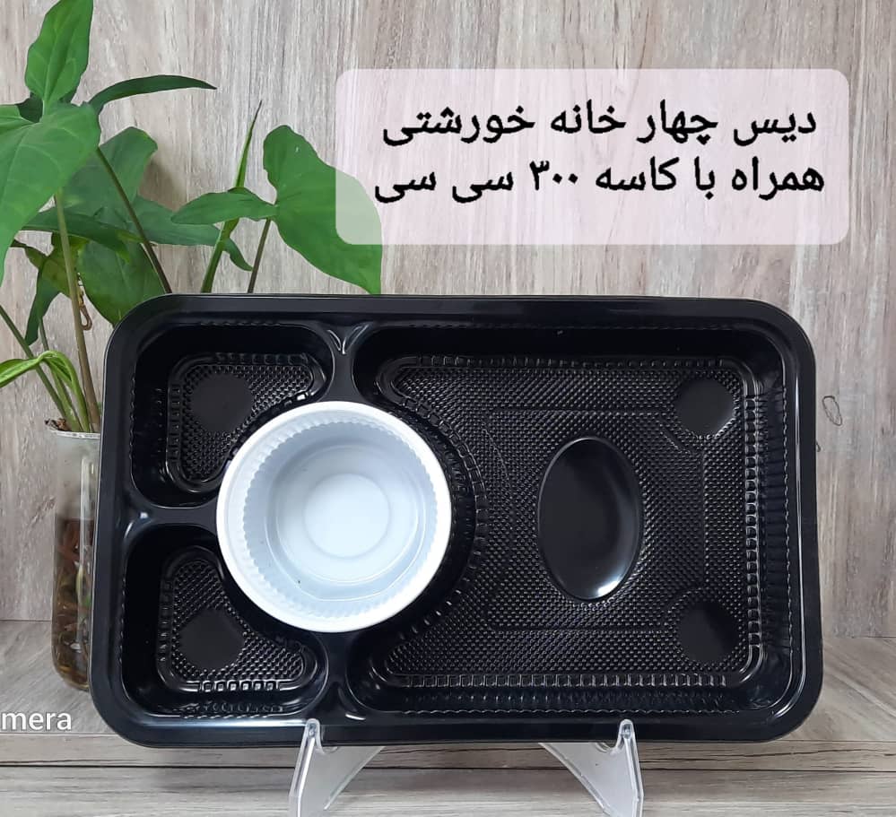 تصویر 4 از ظرف یکبار مصرف چهار خونه کبابی