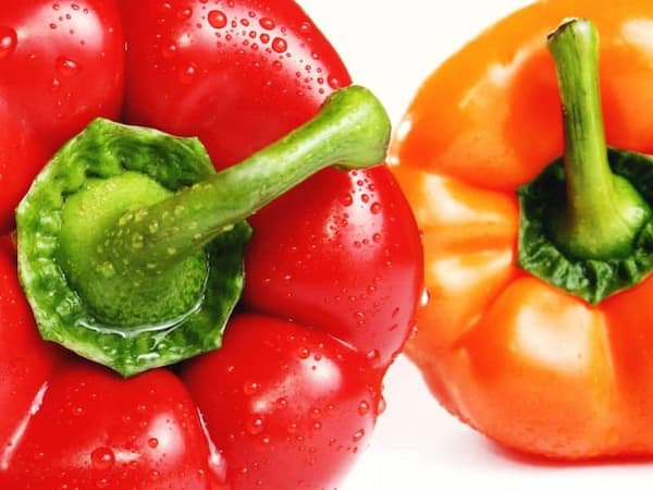 تصویر 3 از قیمت روزانه فلفل دلمه رنگی اصفهان + فروش نقدی