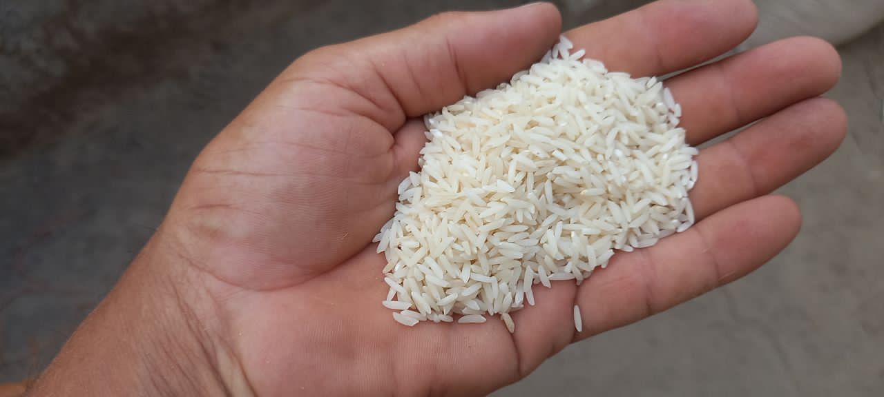 تصویر 1 از برنج هندی ۱۱۲۱ کامنوش دانه خیلی بلند باسماتی سیله