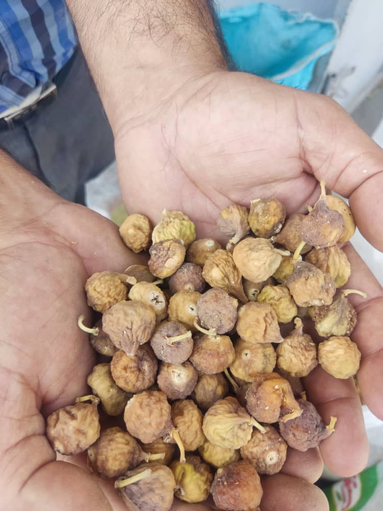 انجیر خشک گوشتی طعمی دلپذیر
