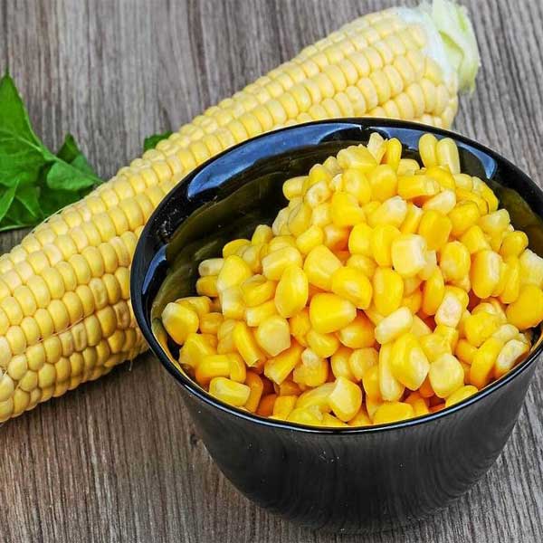 تصویر 5 از قیمت فروش عمده کنسرو ذرت شیرین درجه 1 مرغوب + بافروش ویژه استثنایی