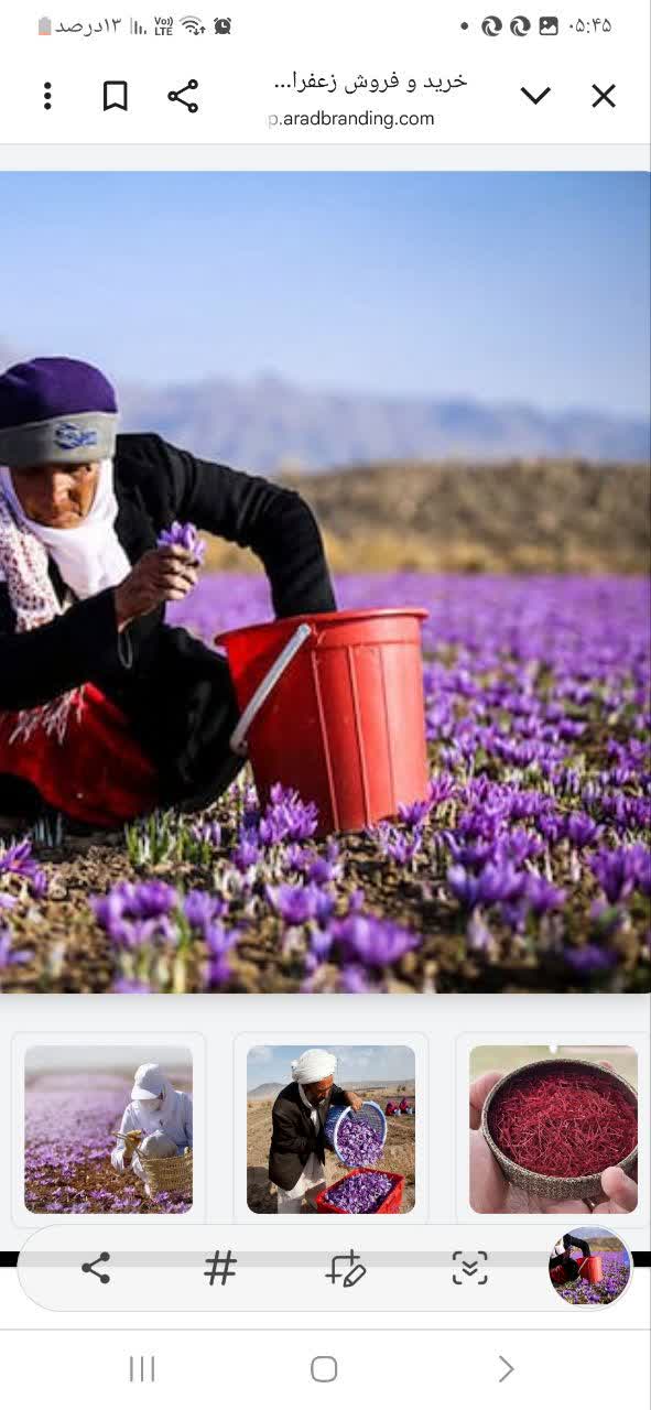 تصویر 2 از خرید زعفران صادراتی بهسود