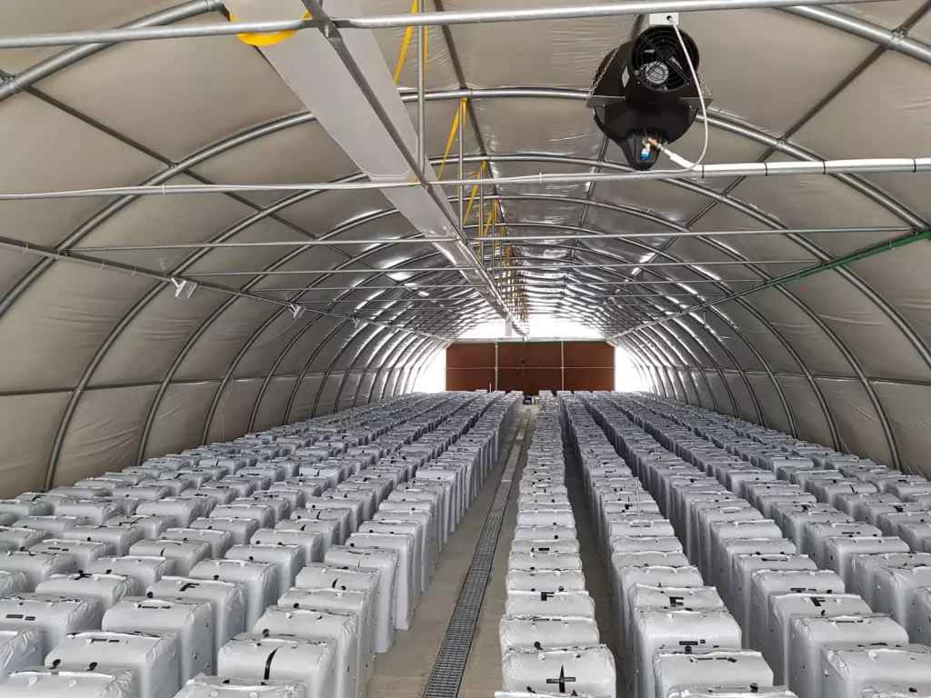تصویر 1 از قیمت خرید پد سلولزی 7090 ابعاد 60×100 ضخامت 10و 15 در بازار امروز